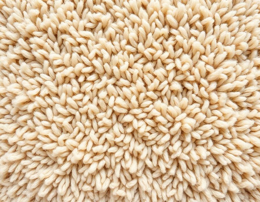 Wool Carpet & Stair Runners texture preview